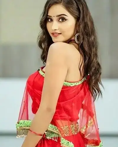 Call Girls Service Tendukheda